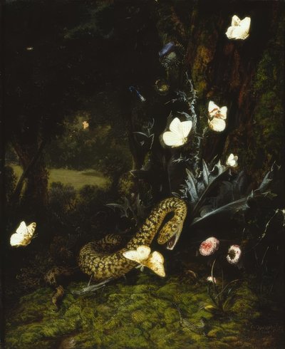 Gafanhoto, cobra e borboletas em um cardo de Otto Marseus  van Schrieck